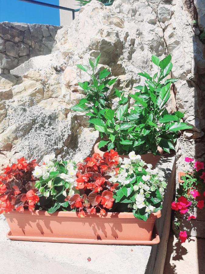 Apartments Tonkita With Jacuzzi Makarska Esterno foto